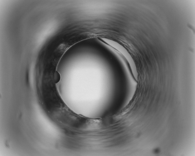 X0000096210429200802011325