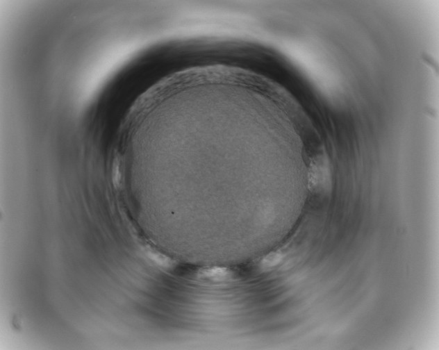 X0000096210431200802011325