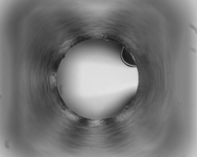 X0000096210432200802011325