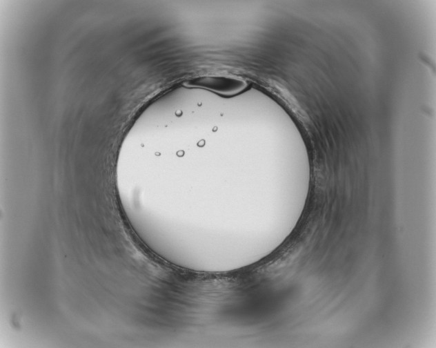 X0000096210433200802011324