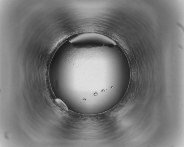 X0000096210434200802011324