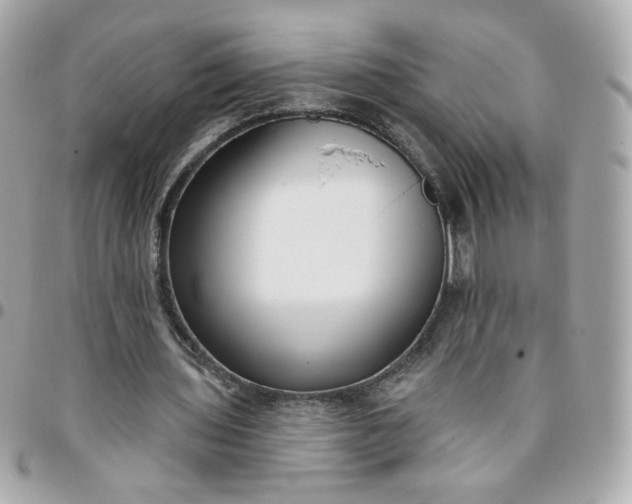 X0000096210435200802011324