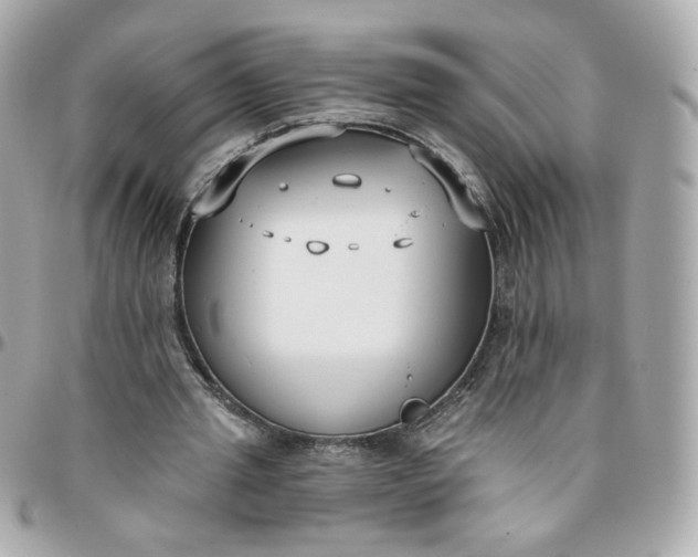 X0000096210437200802011324