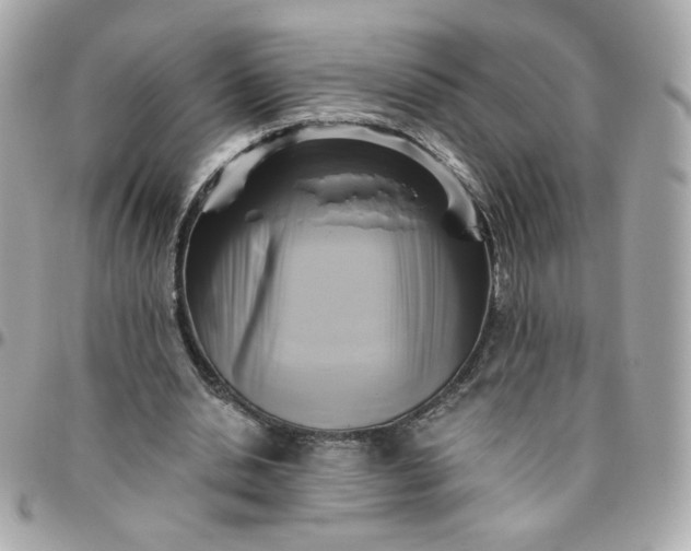 X0000096210438200802011324