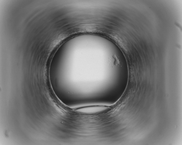 X0000096210439200802011324