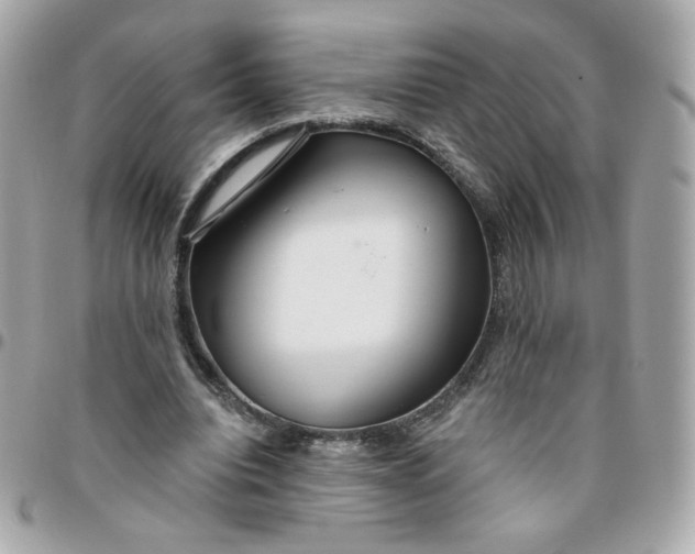 X0000096210440200802011324