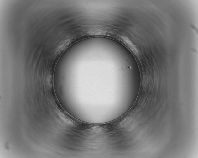 X0000096210441200802011324