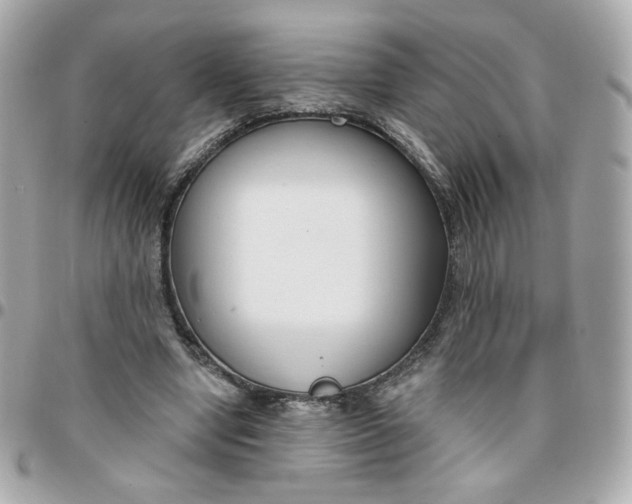 X0000096210442200802011324