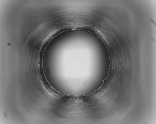 X0000096210443200802011324