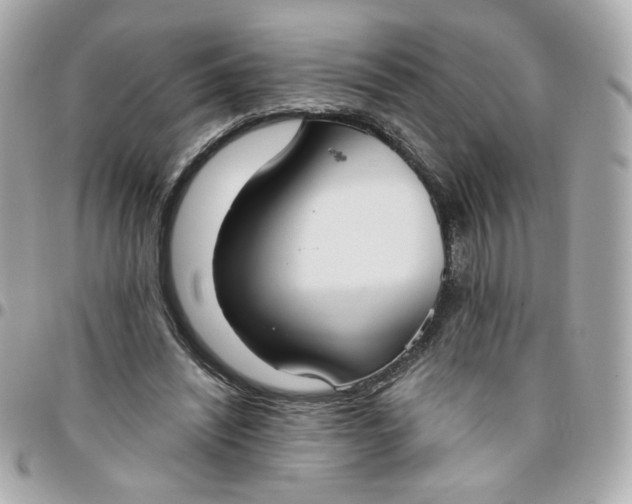 X0000096210444200802011324