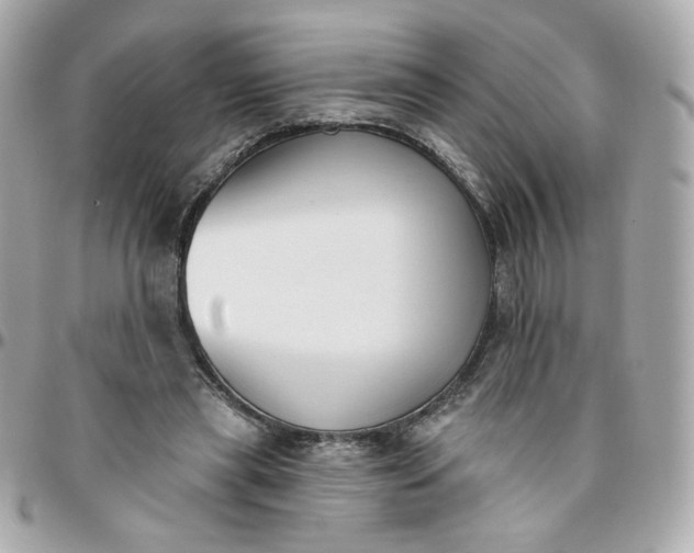 X0000096210445200802011324