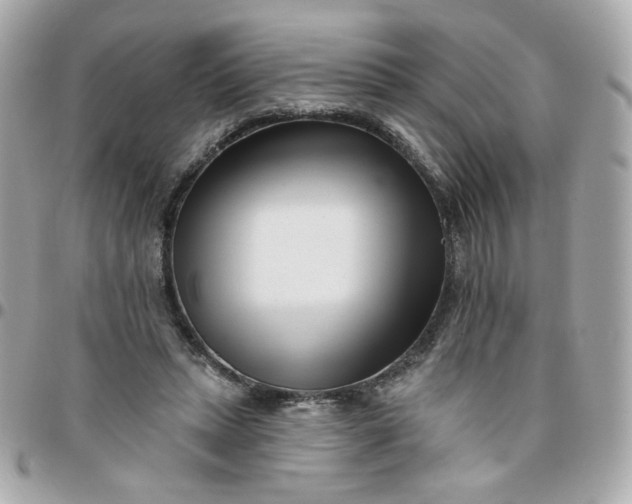 X0000096210447200802011324