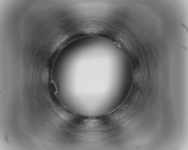 X0000096210448200802011324