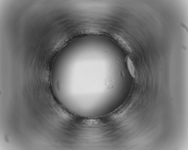 X0000096210449200802011324