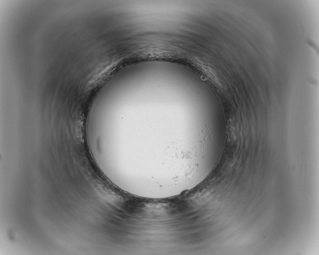 X0000096210450200802011324