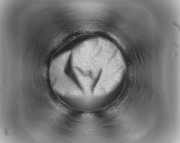 X0000096210451200802011325