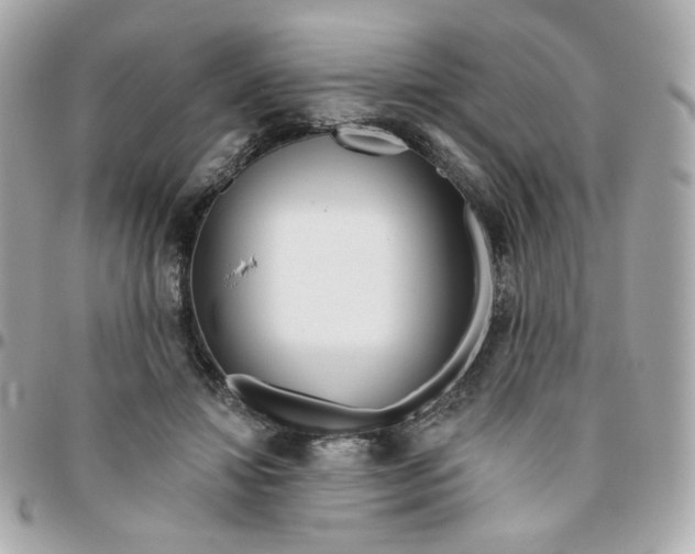 X0000096210452200802011325