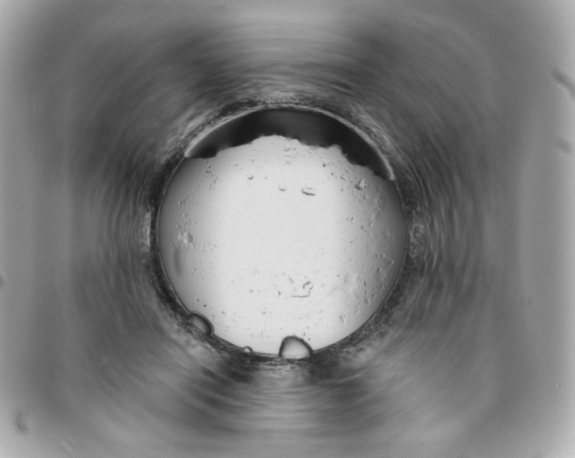 X0000096210454200802011325