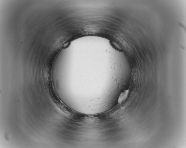 X0000096210455200802011325