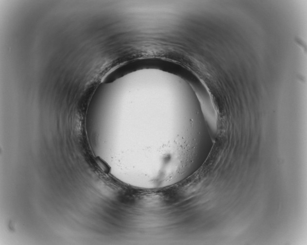 X0000096210456200802011325