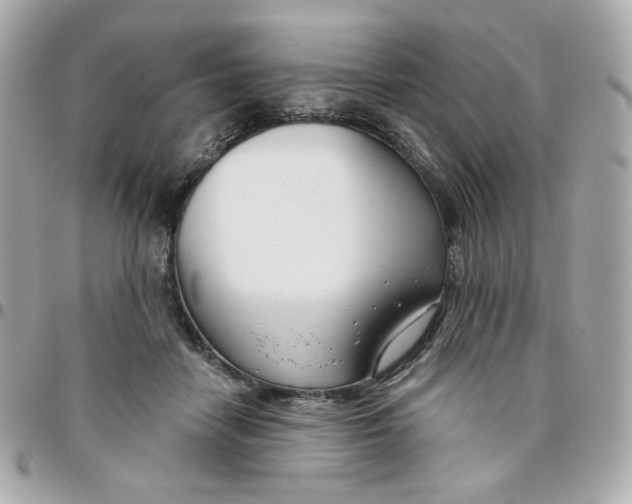 X0000096210458200802011325