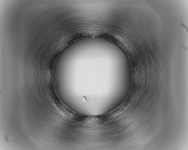 X0000096210459200802011325