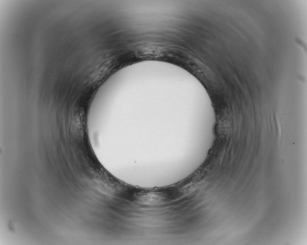 X0000096210460200802011325