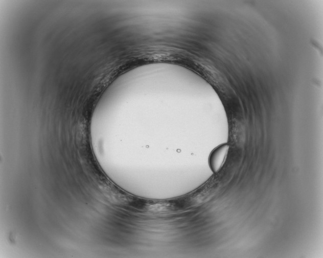 X0000096210461200802011325