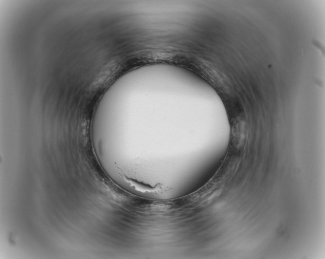 X0000096210462200802011325