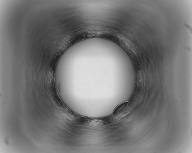 X0000096210463200802011325