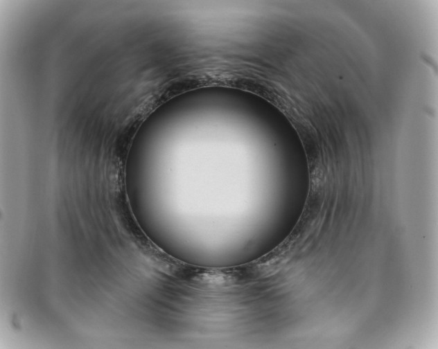 X0000096210464200802011325