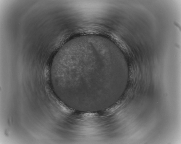 X0000096210465200802011325