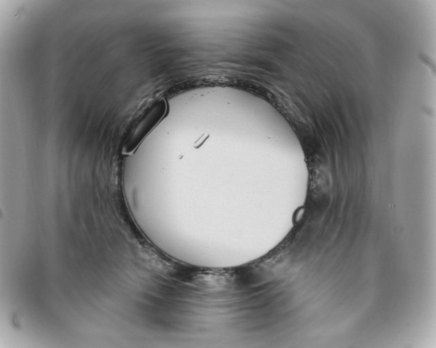 X0000096210466200802011325