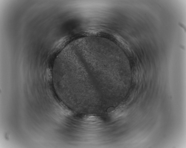 X0000096210467200802011325