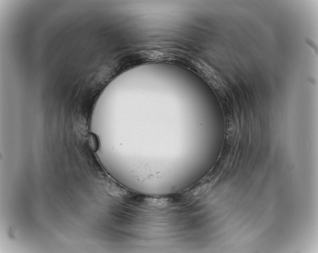 X0000096210469200802011325