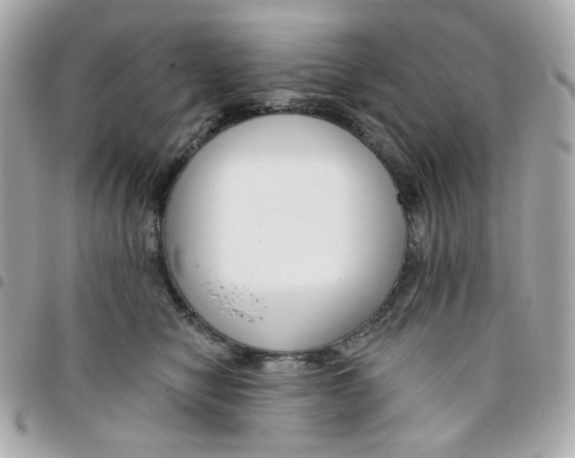 X0000096210470200802011325