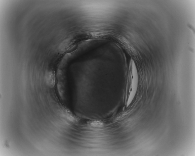 X0000096210471200802011325