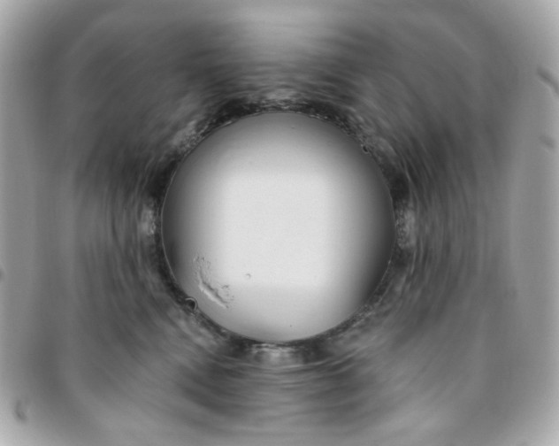 X0000096210472200802011325