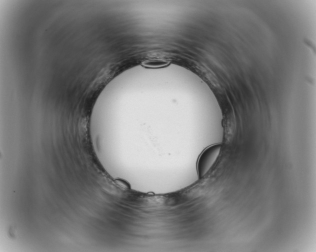 X0000096210473200802011325