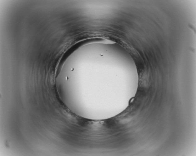 X0000096210474200802011325