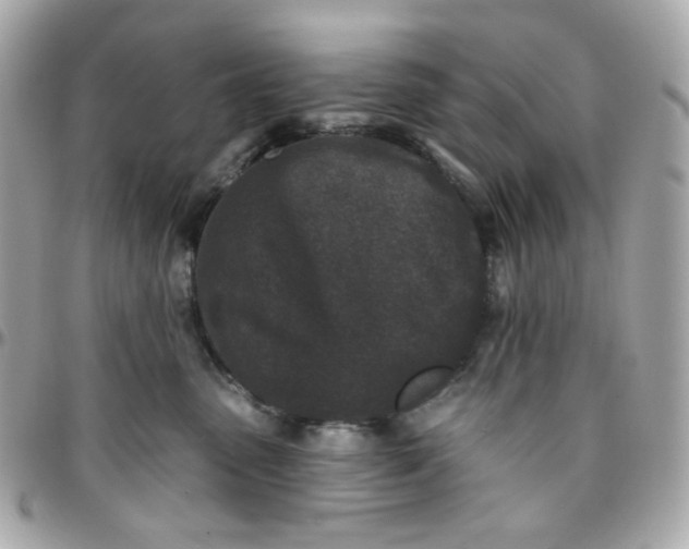 X0000096210475200802011325