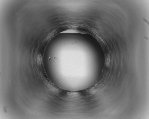 X0000096210476200802011325