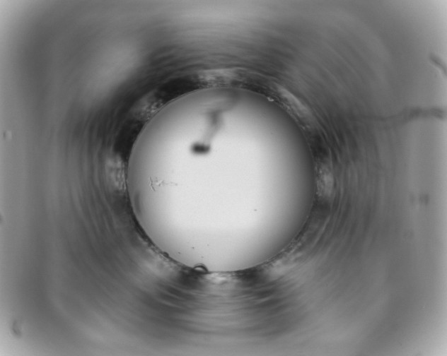 X0000096210477200802011325