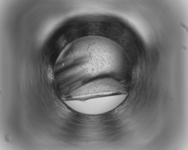 X0000096210479200802011325