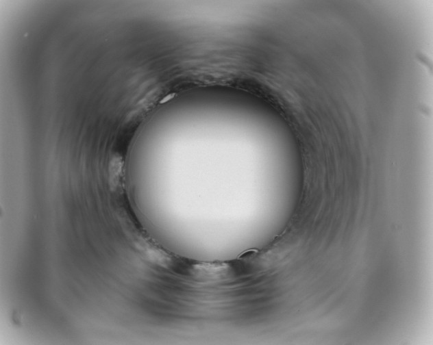 X0000096210480200802011325