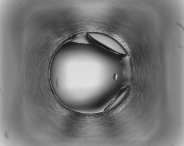 X0000096210481200802011324