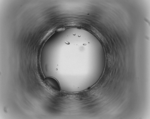 X0000096210482200802011324