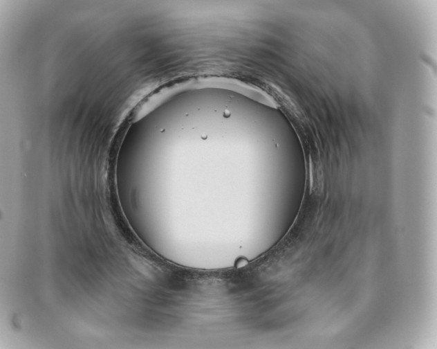 X0000096210483200802011324