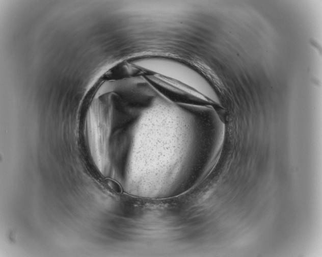 X0000096210484200802011324