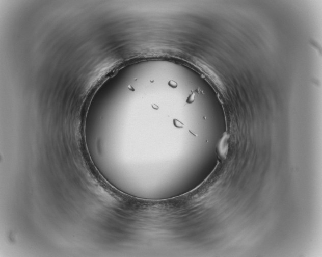 X0000096210485200802011324